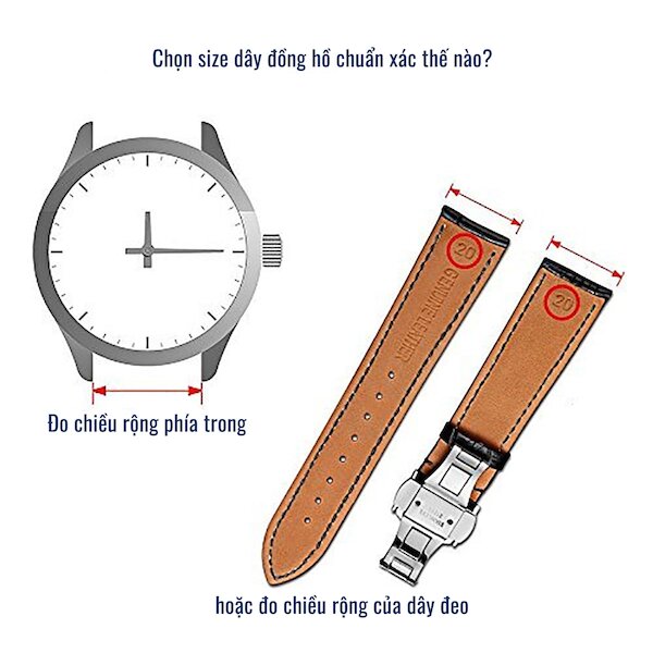 Cách đo kích thước tai đồng hồ để chọn dây thay thế